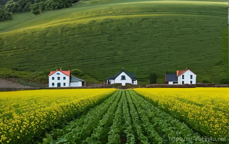 북아일랜드와 아일랜드 공화국의 차이 - Here are three detailed image prompts in English, designed to adhere to your guidelines: 북아일랜드와 아일랜드 공화국의 차이 - Here are three detailed image prompts in English, designed to adhere to your guidelines: